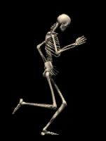 Skeleton-20-june Skeleton-20-june