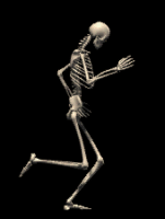 Skeleton-20-june