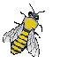 bijen2