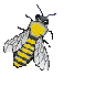 bijen2