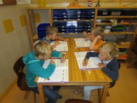 IMG_7083.jpg