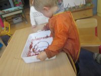 IMG_1022.jpg