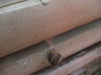 IMG_6951.jpg