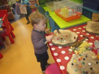 IMG_1275.jpg