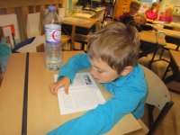 IMG_7264.jpg