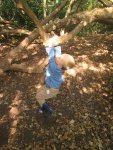 IMG_1643.jpg