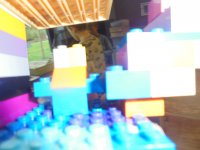 DSC01483.jpg
