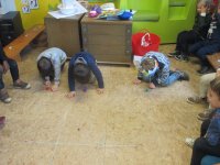 IMG_7183.jpg