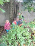 IMG_7647.jpg