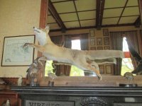 IMG_0053.jpg