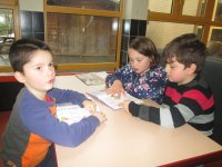 IMG_0781.jpg