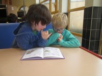 IMG_0782.jpg