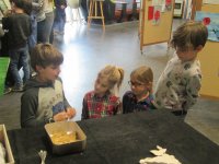 IMG_0830.jpg