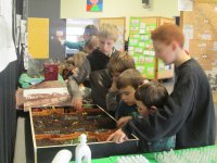 IMG_0833.jpg