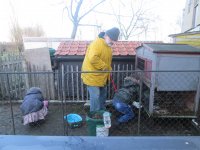 IMG_0935.jpg