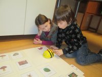 IMG_0963.jpg