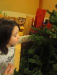 IMG_8637.jpg