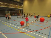 IMG_8538.jpg