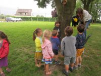 IMG_1873.jpg