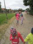IMG_1910.jpg