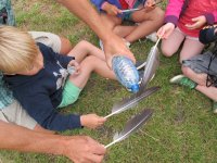 IMG_7698.jpg