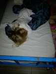 IMG_20180619_233944.jpg