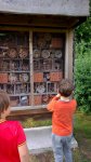 WP_20180618_053.jpg