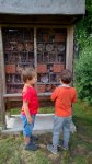 WP_20180618_054.jpg
