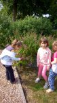 WP_20180618_055.jpg