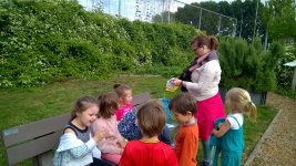 WP_20180618_056.jpg