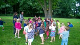 WP_20180619_037.jpg