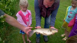 WP_20180619_054.jpg