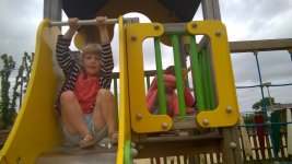 WP_20180619_073.jpg