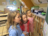 IMG_1263.jpg