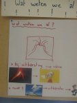 IMG_2234.jpg