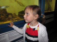 IMG_4863.jpg