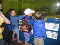IMG_4872.jpg