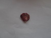 DSCF4151.jpg