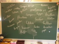DSCF4180.jpg