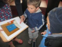 IMG_1515.jpg