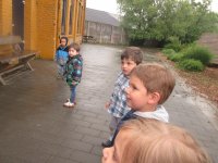 IMG_1520.jpg