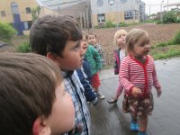 IMG_1521.jpg