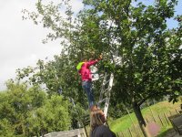 IMG_1390.jpg