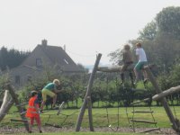 IMG_1525.jpg