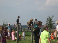 IMG_1601.jpg