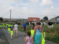 IMG_1647.jpg