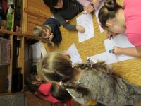 IMG_7862.jpg