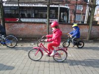 IMG_2922.jpg