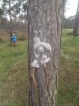 DSCF5573.jpg