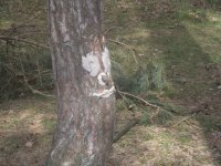 DSCF5647.jpg
